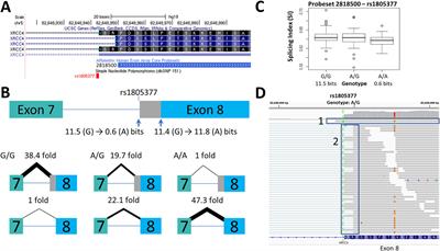 Expression Changes Confirm Genomic Variants Predicted to Result in Allele-Specific, Alternative mRNA Splicing